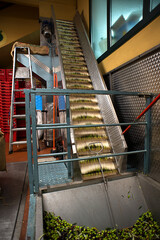 milling of olives