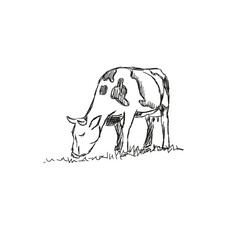 Cows grazing on meadow. Hand drawn illustration.