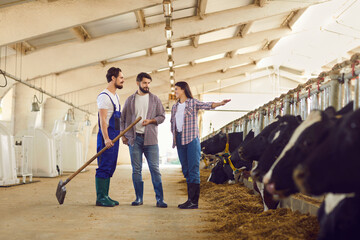 Farmers and their new worker standing in the cowshed and talking about daily tasks