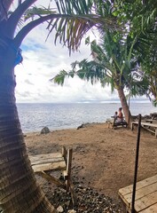 trees on the beach