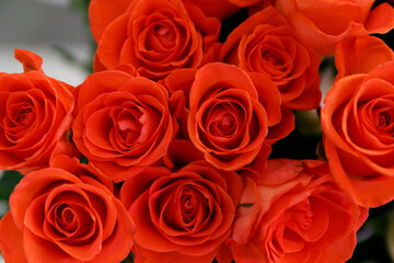 Bouquet of red roses close up