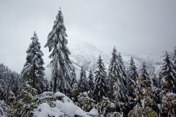 Roßfeldhöhenringstraße, Rossfeldpanoramastraße - a panorama road in Germany (Alps)