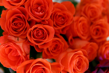 Bouquet of red roses close up
