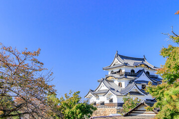 Fototapeta premium 秋の彦根城 滋賀県彦根市 Autumn Hikone castle Shiga-ken Hikone city