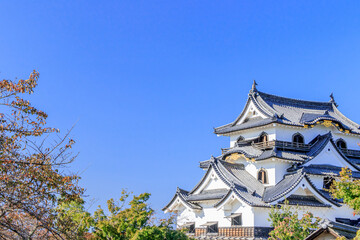 秋の彦根城　滋賀県彦根市　
Autumn Hikone castle Shiga-ken Hikone city