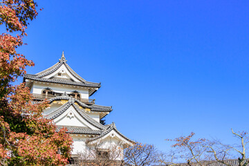 秋の彦根城　滋賀県彦根市　
Autumn Hikone castle Shiga-ken Hikone city