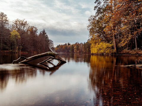 Der Pfaffensee in Stuttgart-West im Herbst, Baden-W&uuml;rttemberg