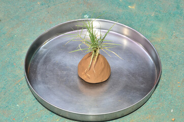 Steel Reservoir at Ground Nadaun H.P India