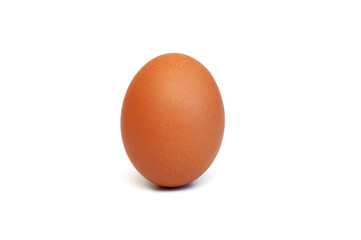 Chicken egg on white background