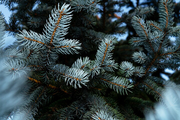 Abstract blurred background for Christmas and the New Year theme. Christmas tree with colorful garland lights, decoration.  