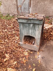 kennel for a large dog