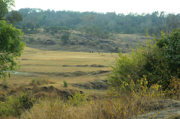 Beautiful Landscape View Of Himachal Pradesh India