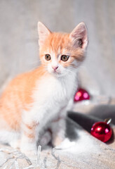 Home cute cat with Christmas decorations. A small fluffy red kitten sits on a cozy blanket next to a garland and red Christmas balls.