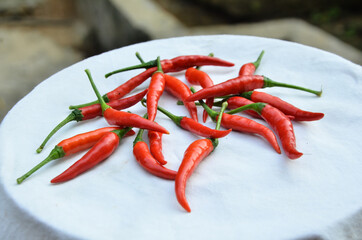 Red Chilli On White Plate at Home