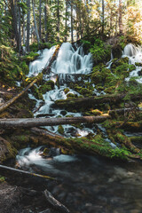 waterfall in the woods
