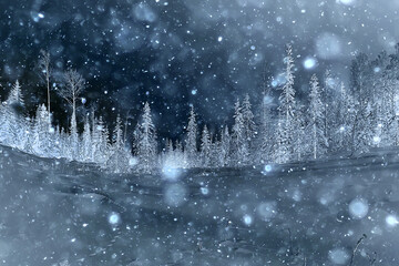 night forest christmas landscape, new year's evening in a snowy forest