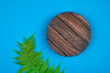 Wooden stand and green branch on blue background.