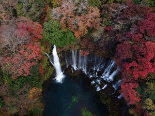 紅葉と白糸の滝