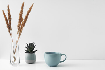 A mug, a potted houseplant and a transparent vase. Eco-friendly materials in the decor of the room, minimalism. Copy space, mock up