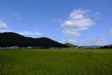 岡山吉備津の田園風景