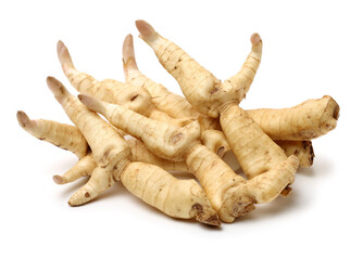 Polygonatum sibiricum on white background