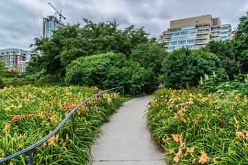 Beautiful Garden near the Toronto harbor. Toronto, Ontario, Canada.