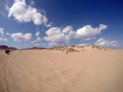 Motion blure. Quad safari.Photos were taken while driving. Desert of Sinai Peninsula, Egypt. Near Sharm El Sheikh