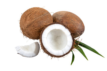 Coconut on a white background, isolated. Whole coconut, halves, shells, pieces of coconut on a green palm leaf. Tropical fruit.