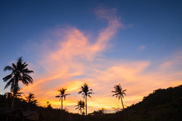 Fototapeta na wymiar Coconut palms tropical sunset background, Boracay