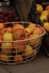 apples in a basket