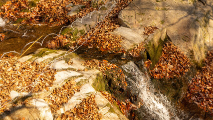 물이 흐르는 계곡