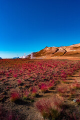 Obraz premium Geothermal active zone Hverir near Myvatn lake in Iceland, resembling Martian red planet landscape, at summer and blue sky