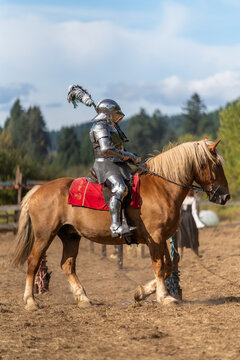 horse and rider suit of armor knight Renaissance