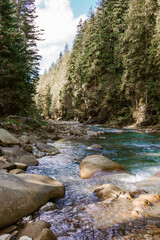 Mountain river flowing through the trees