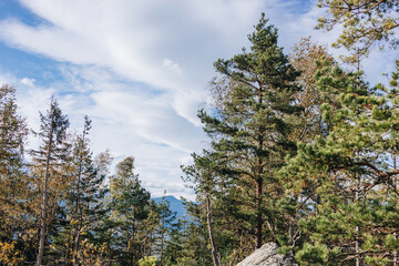 Beautiful landscape in the Carpathians