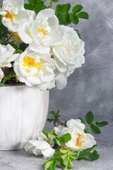White cream delicate roses in a bouquet on a gray background. Still life with white rosehip flowers in a vase.Selective focus