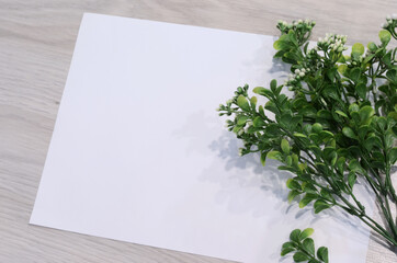 Mockup card with plants. invitation card with environment and details Mockup with postcard and flowers on white background