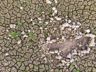 Drought