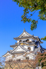 彦根城　滋賀県彦根市　Hikone castle Shiga-ken Hikone city
