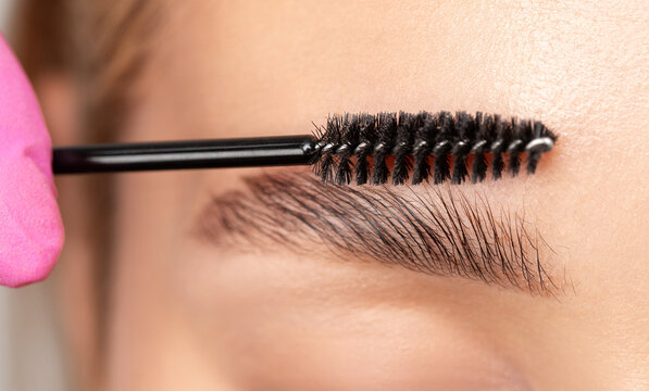 Makeup artist combs eyebrows with a brush after dyeing in a beauty salon.Professional makeup and cosmetology skin care.