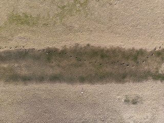 Drought © Jacek
