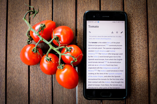 red tomatoes on wood background