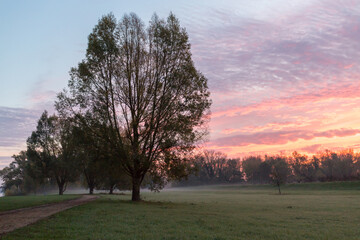 Obraz premium Herbstlicher Sonnenaufgang am Rheinufer