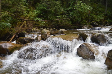 waterfall in the forest