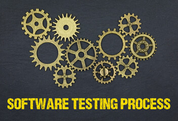 Software Testing Process 