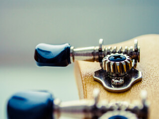 Ukulele. Musical instrument. Soundboard and tuners.