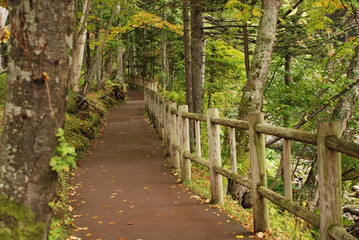 森の小道