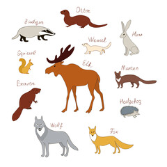Forest animals. Vector color drawing silhouette image set.