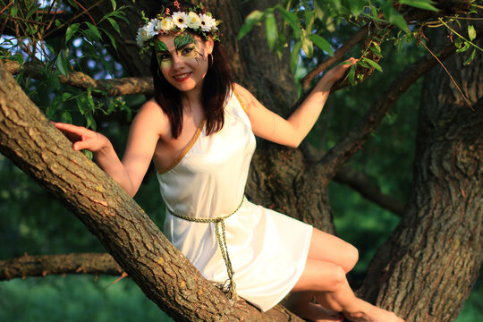 Magic forest fairy in the forest sitting on a branch. Woman in the woods