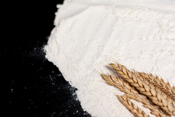 Spikelets of wheat and a pile of white flour on the right side.